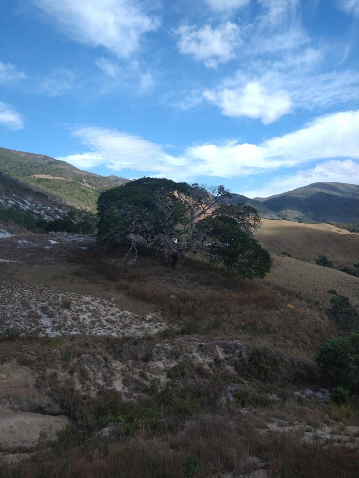 Casarao E Mangueiras * Rio Preto (Minas Gerais)