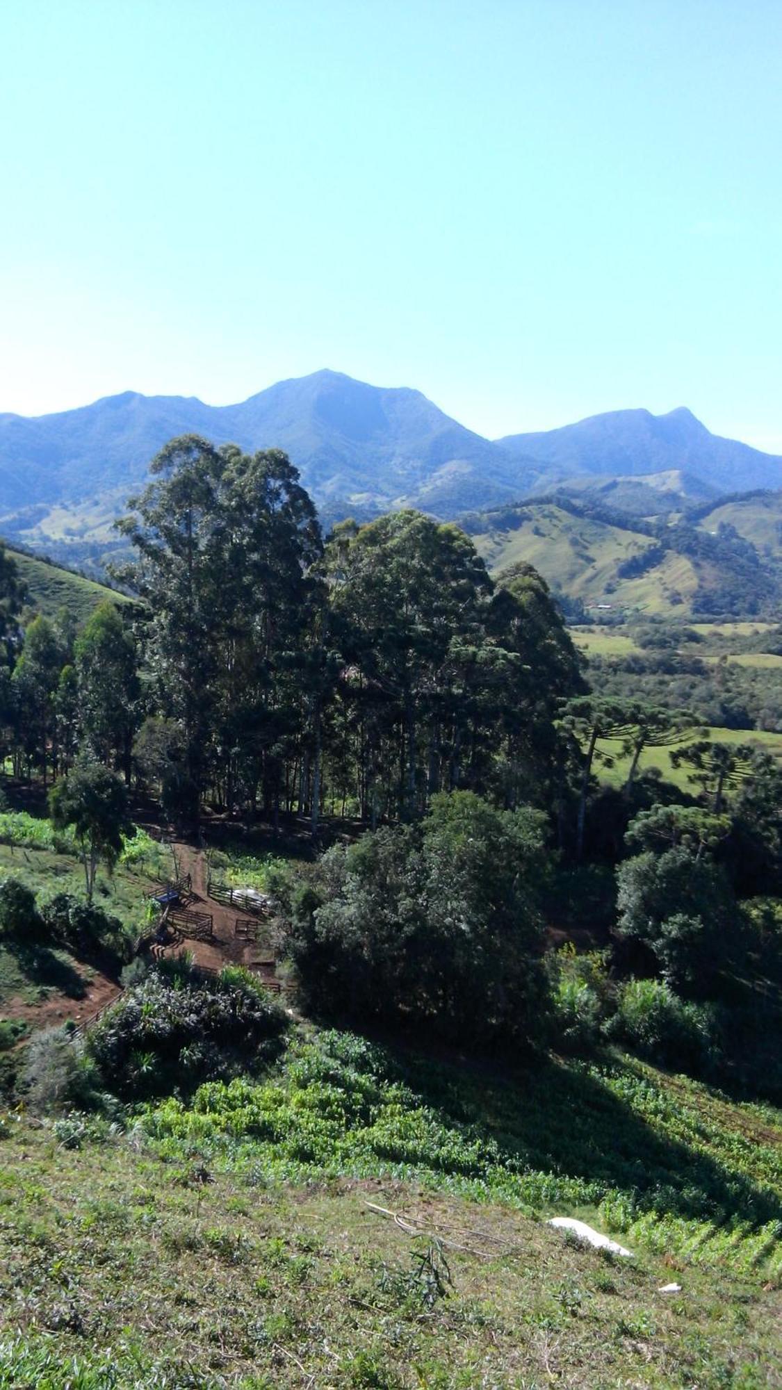 Casarao E Mangueiras Chalet Rio Preto (Minas Gerais)