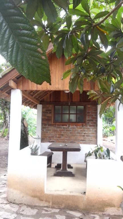 Casarao E Mangueiras * Rio Preto (Minas Gerais)